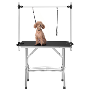 pet: Top Pet Furniture: Beds, Grooming & Condos!