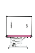 42.5Inch Hydraulic Pet Grooming Table With