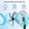 Simple Deluxe Oscillating 16 3 Adjustable Speed Pedestal Stand Fan For Indoor, Bedroom, Living Room, Home Office & College Dorm Use, 16 Inch, Black Black Metal