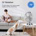 Simple Deluxe 12 Inch Stand Fan, Horizontal Ocillation 75 , 3 Settings Speeds, Low Noise, Quality Made Durable Fan, High Velocity, Heavy Duty Metal For Industrial, Commercial, Residential, Silver