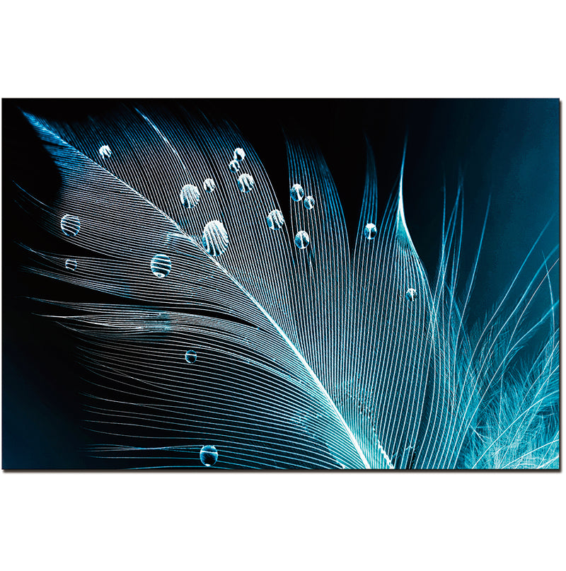 Oppidan Home "Peacock Feather With Water Droplets" 32"H X 48"W Multicolor Acrylic