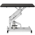 43 Inch Adjustable Heavy Type Hydraulic Pet Dog Grooming Table Upgraded Professional Drying Table Heavy Duty Frame With Adjustable Arm And Noose Black White Carbon Steel