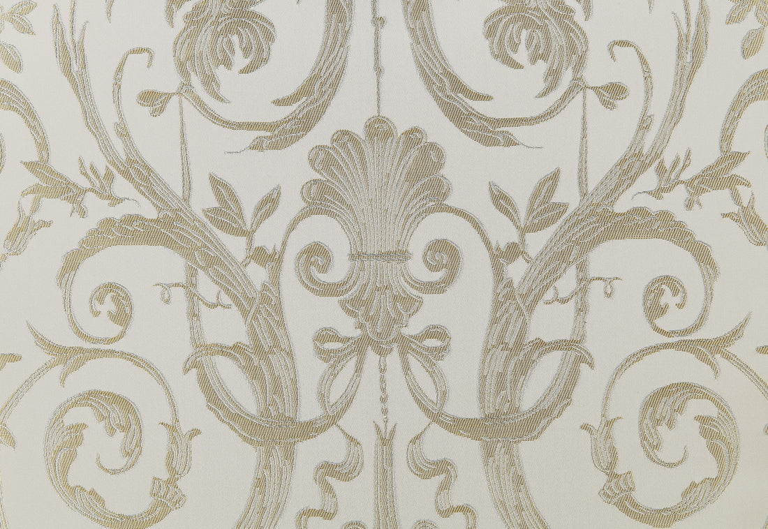 Bently Side Chair Set 2 Fabric & Champagne Finish Dn01369 Champagne Fabric