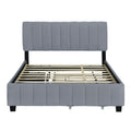 Queen Size Velvet Upholstered Platform Bed With 2 Drawers And 1 Twin Xl Trundle Gray Gray Upholstered