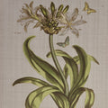 4 Piece Botanical Illustration Framed Canvas Wall Art Set Green Mdf