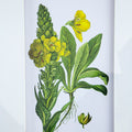 Set Of 4 Botanical Flower Wall Art, Home Decor For Living Room, Dining Room, Bedroom, Hallway, 20