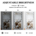 Hollywood Full Length Mirror With Lights Oversized Full Body Vanity Mirror With 3 Color Modes Lighted Large Standing Floor Mirror For Dressing Room Bedroom Hotel Touch Control,Silver,72X32 Inch Silver Aluminium