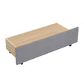 Twin Size Upholstered Daybed With Ergonomic Design Backrest And 2 Drawers, Gray Gray Velvet