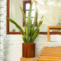 7.8 In. Dark Wood Plastic Self Watering Planter Pot Dark Brown Abs