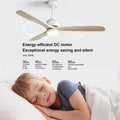 60 Inch Modern Remote Control, 3 Solid Wood Blades, Suitable For Indoor And Outdoor White Metal & Wood