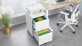 Metal 2 Drawer Mobile File Cabinet With Lock, Under Desk Office Steel Filing Cabinet, 25.6''H Legal Letter Size Files Storage Cabinet,White Filing Cabinets 1 2 Drawers White Office Mobile Steel