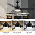 Smart 48 In. Integrated Led Balck Ceiling Fan With Remote Contorl And Plywood Blades Black Plywood