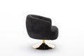 048 Chenille Fabric Accent Swivel Chair With Gold Metal Round Base,Black Black White Primary Living Space Modern Eucalyptus Foam Chenille