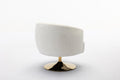 048 Chenille Fabric Accent Swivel Chair With Gold Metal Round Base,White White Primary Living Space Modern Eucalyptus Foam Chenille