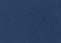 1Pc Daybed With Trundle Blue Fabric Upholstery Wooden Frame Modern Home Furniture Box Spring Not Required Blue Wood Primary Living Space Modern,Transitional Polyester Engineered Wood,Wood