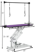 42.5Inch Hydraulic Pet Grooming Table With
