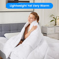 Comforter Queen Size, All Season Duvet Insert, Quilted Soft Down Alternative Bedding Comforter Reversible With Corner Tabs, Lightweight & Warm Microfiber, Machine Washable, 88