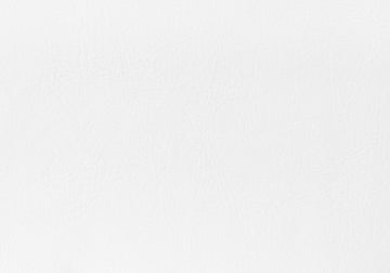 Bed, Queen Size, Bedroom, Upholstered, White Leather Look, Transitional White Foam Faux Leather