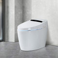 Smart Toilets With Heated Bidet Seat.Portable Toilet With Bidet Built.Intelligent Toilet Auto Open Close Seat. Bidet Toilet With Dryer And Warm Water White Ceramic