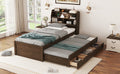 Twin Size Wooden Led Platform Bed With Trundle, With Storage Headboard, With Drawers, Brown Twin Brown Plywood