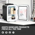 4L 6 Can Mini Fridge Portable Cooler & Warmer Compact Refrigerators For Food, Drinks, Office Desk, Black Black Plastic