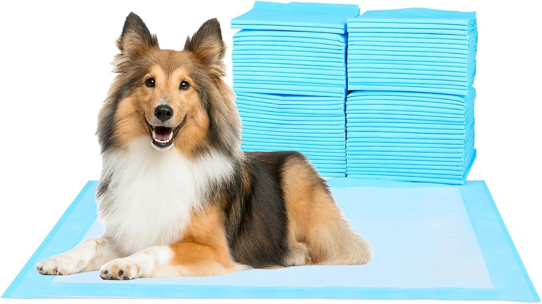 Super Absorbent Waterproof Dog And Puppy Pet Training Pad, Housebreaking Pet Pad,Blue 23.6"X23.6" 100Pcs Blue Plastic