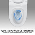 1.1 1.6 Gpf Elongated Comfort Height Floor Mounted One Piece Toilet, Cupc Certified, Watersense Cetified, Ceramic, White Color, Soft Close Seat White Ceramic