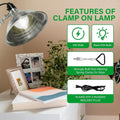 Hiwkltclamplightmx2 2 Pack Clamp Lamp Light With 8.5 Inch Aluminum Reflector Up To 150 Watt E26 Socket No Bulb Included 6 Feet 18 2 Spt 2 Cord, Silver Silver Aluminium
