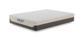 Mlily Fusion Supreme 11.5