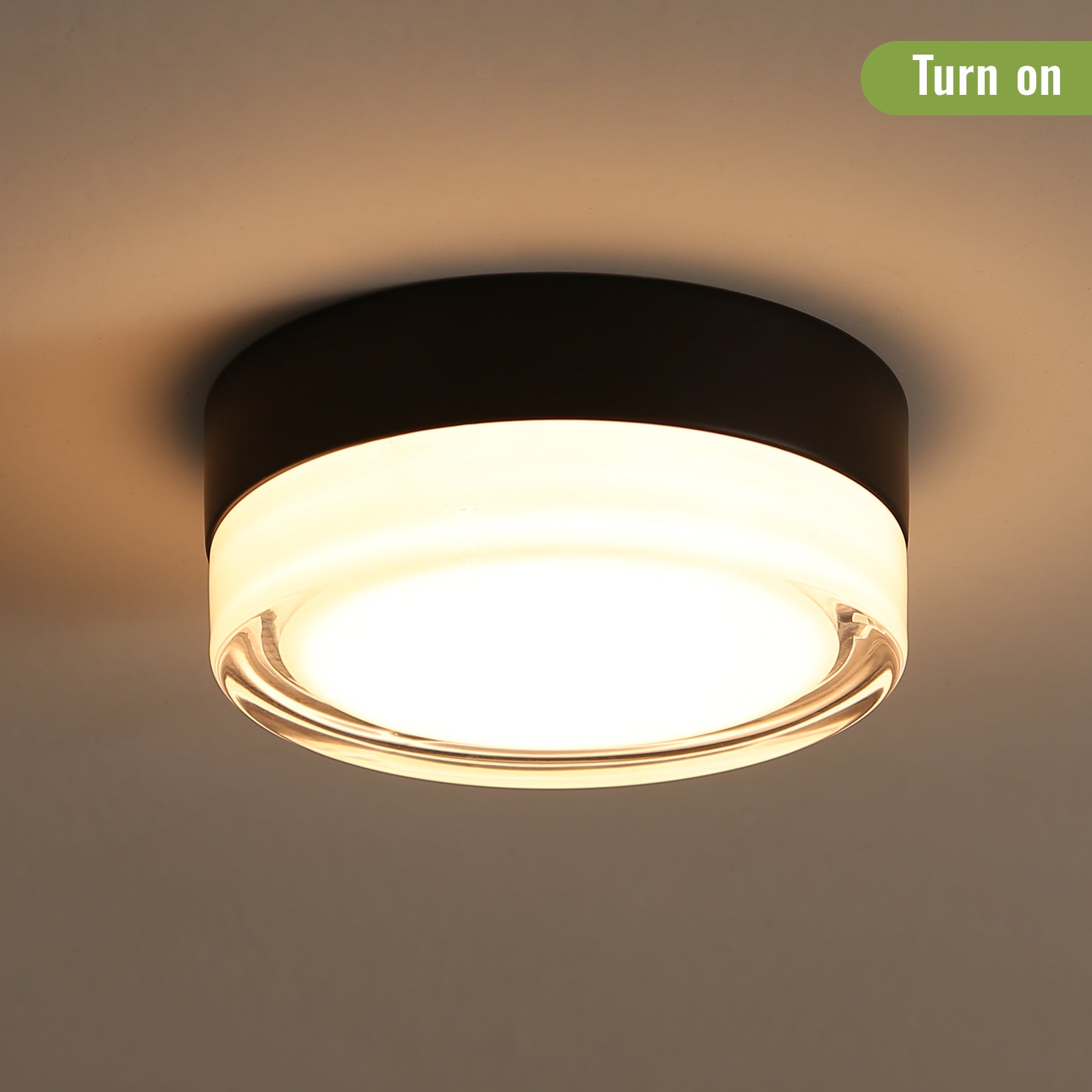 Small Size Flush Mount Ceiling Light 24W Glass Lampshade 2700K Ceiling Light Fixture For Bedroom Kids Room Black Glass,Metal