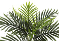 Artificial Plant, 20