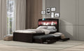 Twin Xl Size Platform Bed With Storage Led Headboard, Charging Station, Twin Size Trundle And 2 Drawers, Dark Brown Box Spring Not Required Twin Xl Dark Brown Wood Bedroom Bed Frame Solid Wood Mdf