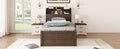 Twin Size Wooden Led Platform Bed With Trundle, With Storage Headboard, With Drawers, Brown Twin Brown Plywood