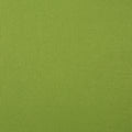 Coronado Rectangular Pillow Green Fabric