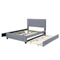 Queen Size Velvet Upholstered Platform Bed With 2 Drawers And 1 Twin Xl Trundle Gray Queen Gray Upholstered