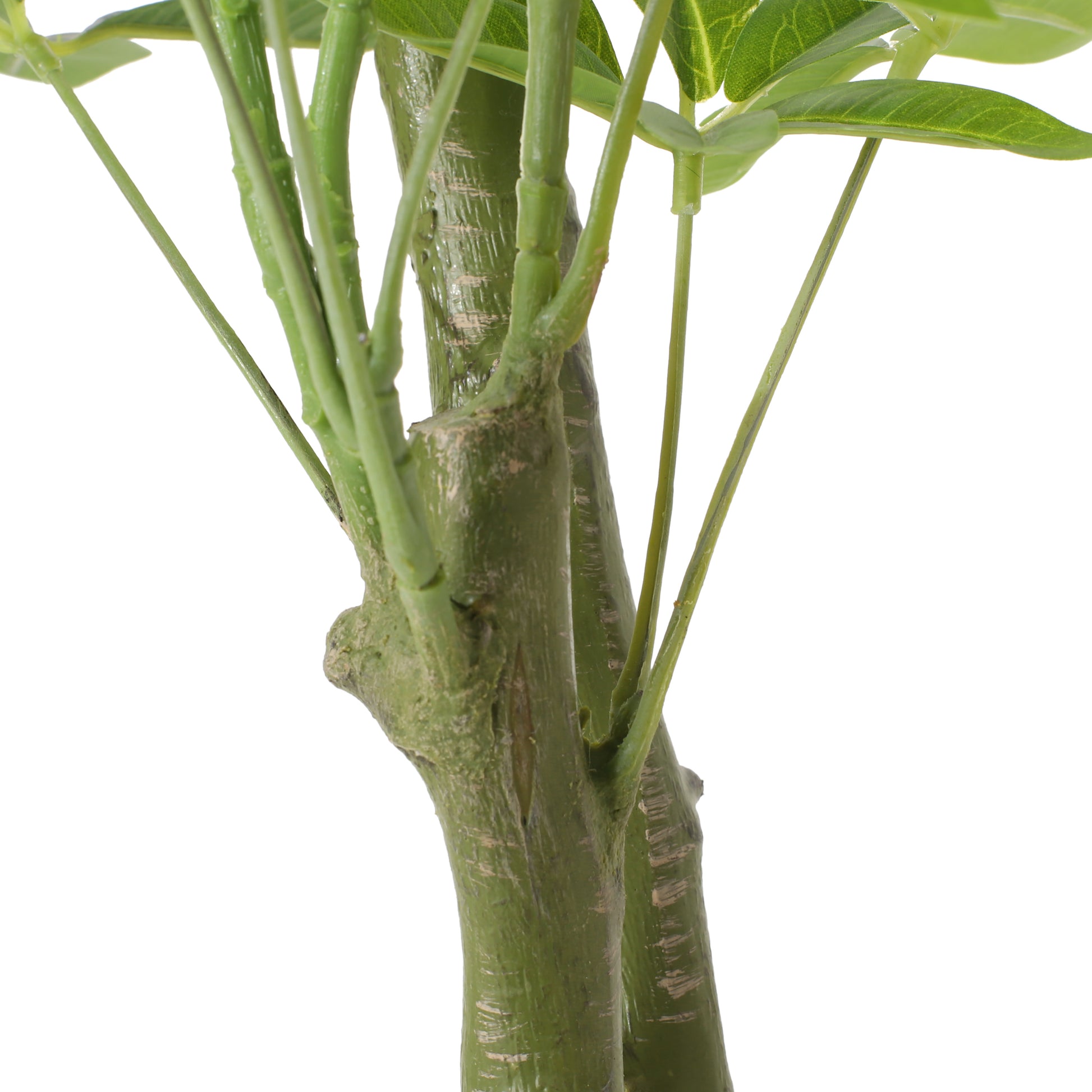 160Cm Artificial Pachira Macrocarpa Green Polyethylene