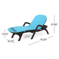 Mikael Chaise Lounge With Cushion Dark Brown Polypropylene