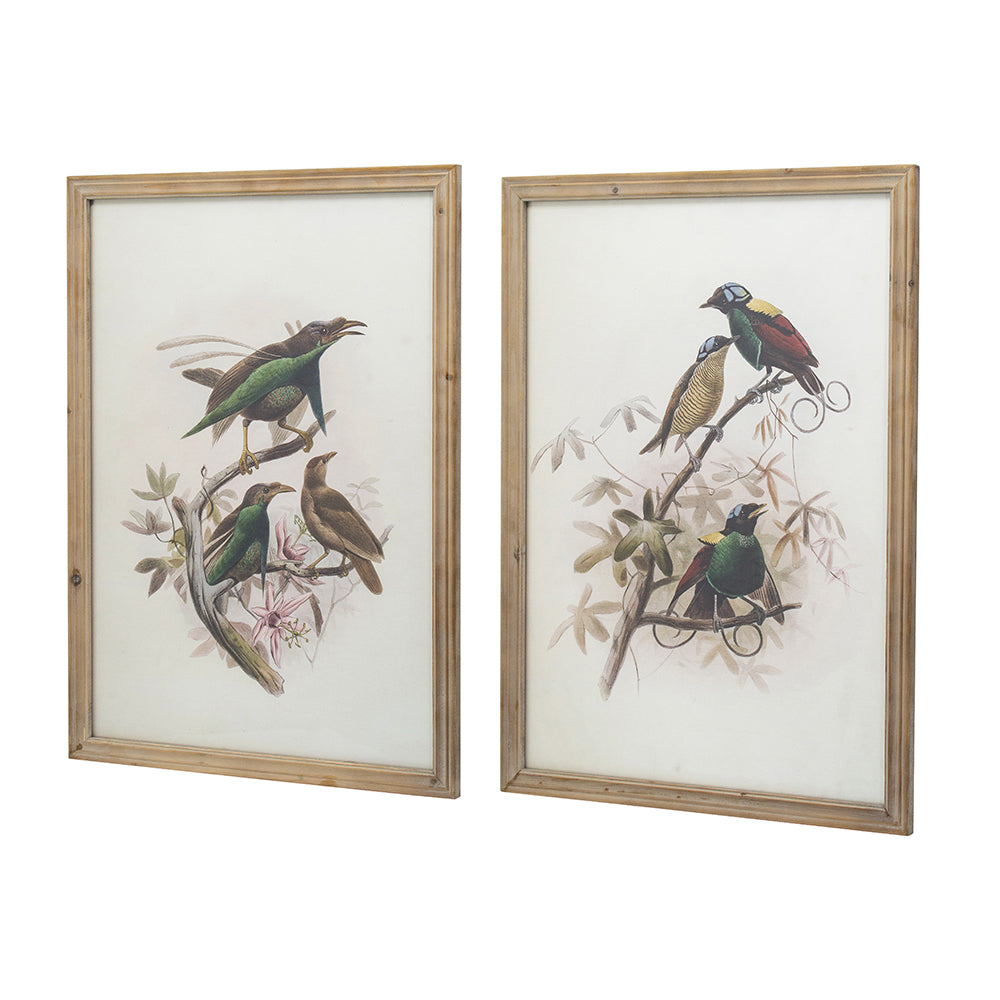 S 2 Bird Framed Print, 19.5X27.5" Multicolor Wood