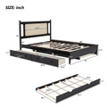 Queen Size Wooden Rattan Platform Bed, With 2 Big Drawers, T Size Trundle, Espresso Queen Espresso Plywood