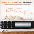 Inflatable Air Mattress With Built In Pump, Queen Size 18In Black Pvc Queen