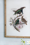 S 2 Bird Framed Print, 19.5X27.5