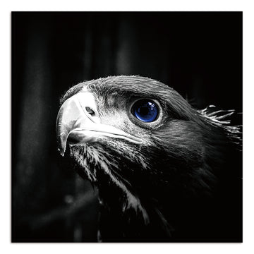 Oppidan Home "Focused Eagle" Acrylic Wall Art 40"H X 40"W Multicolor Acrylic