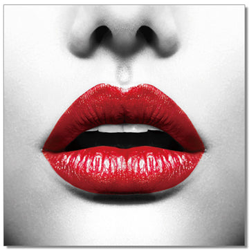 Oppidan Home "Red Lips" Acrylic Wall Art 40"H X 40"W Multicolor Acrylic