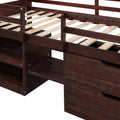 Twin Size Loft Bed With Two Shelves And Two Drawers Antique Espresso Antique Espresso Solid Wood