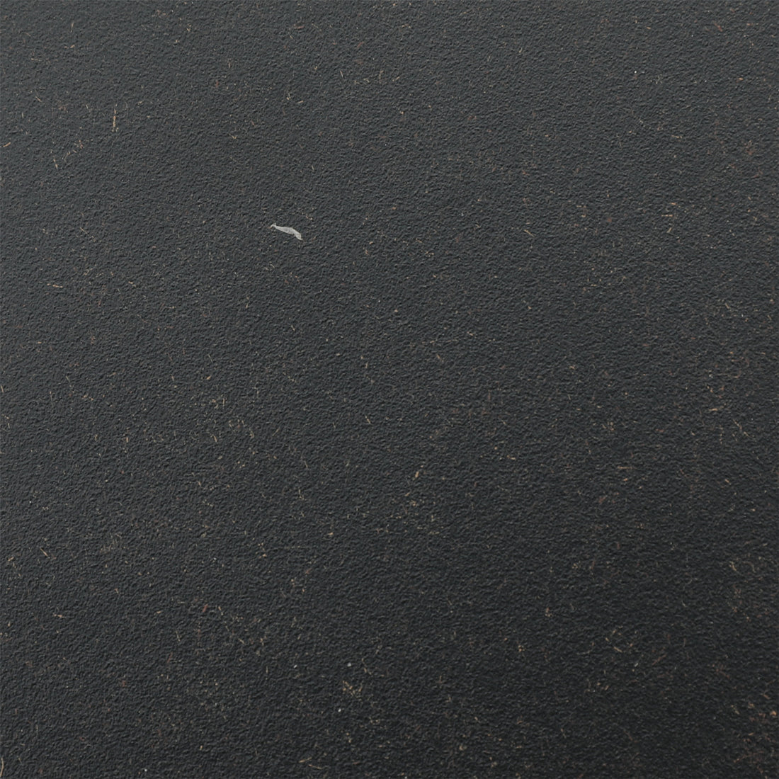 Rectangular 10 Person 126.38" Long Dining Set With Navy Blue Cushions Antique Navy Blue Polyester Aluminum