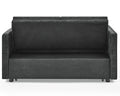 Loveseats Sofa Bed With Pull Out Bed,Adjsutable Back And Two Arm Pocket,Black 54.5