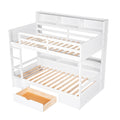 Twin Size Bunk Bed With Built In Shelves Beside Both Upper And Down Bed And Storage Drawer,White White Pine