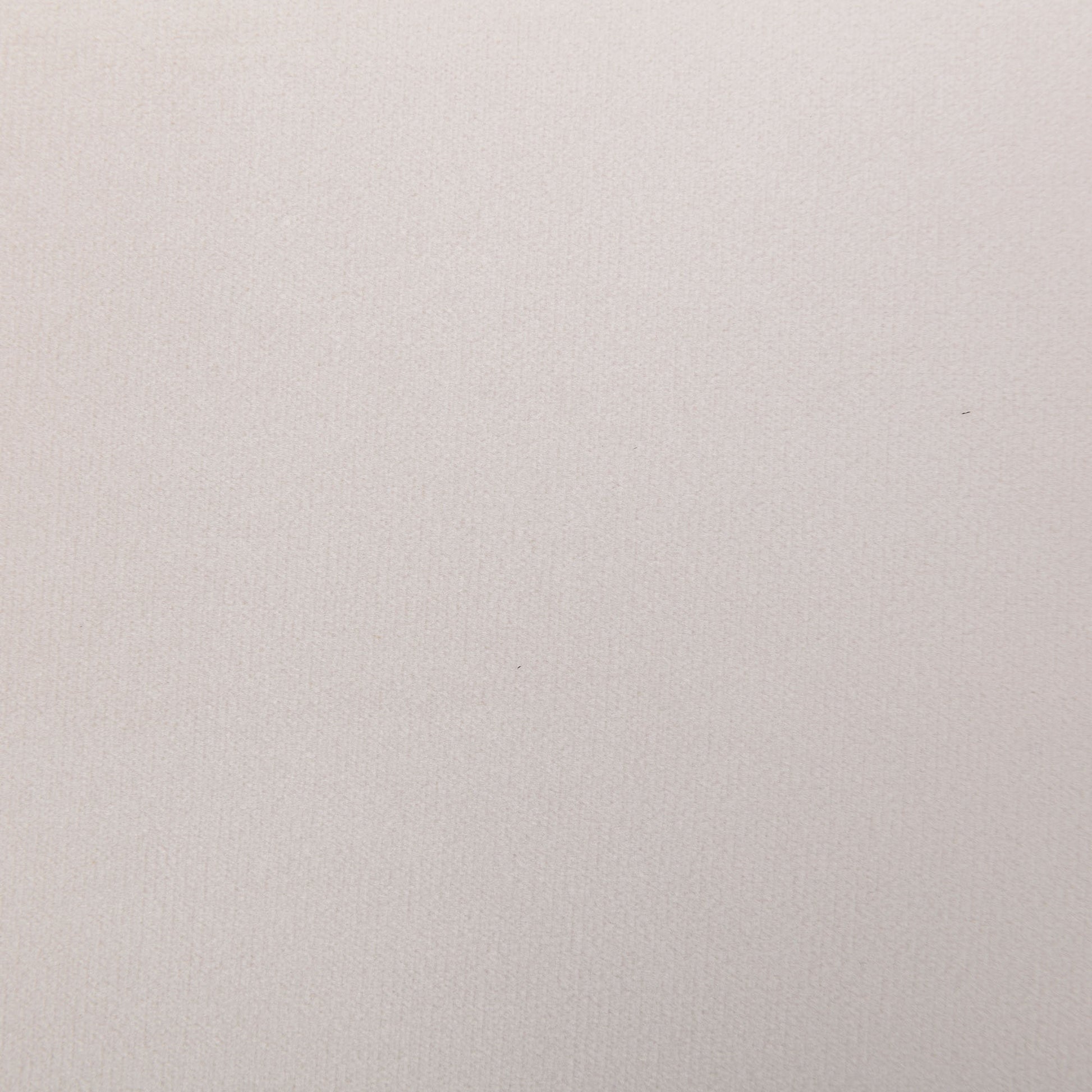 58.3" Pull Out Sofa Bed,Sleeper Sofa Bed With Premium Twin Size Mattress Pad,2 In 1 Pull Out Couch Bed,Loveseat Sleeper For Living Room,Small Apartment, Beige White White Foam Velvet