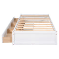 Twin Size Platform Storage Bed With 3 Drawers,White White Solid Wood