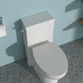 Ceramic One Piece Toilet,Single Flush With Soft Clsoing Seat White Ceramic